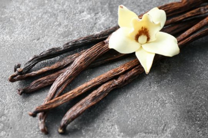 3 LƯU Ý THỤ PHẤN CHO HOA VANILLA THÀNH CÔNG