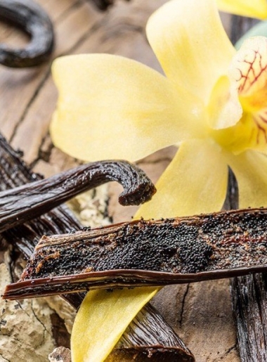 Vanilla Tahitensis