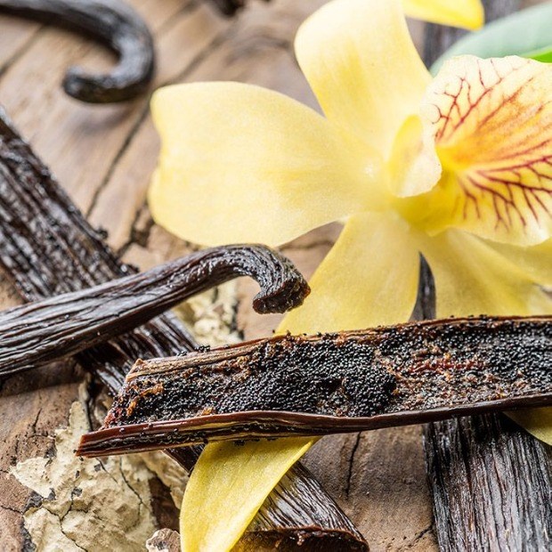 Vanilla Tahitensis